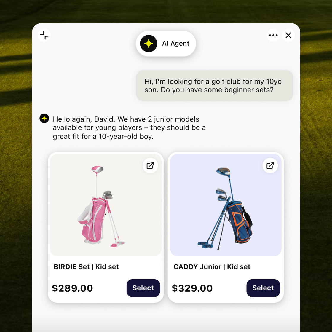WooCommerce AI chatbot recommending junior golf sets and adding a product to the shopper's cart