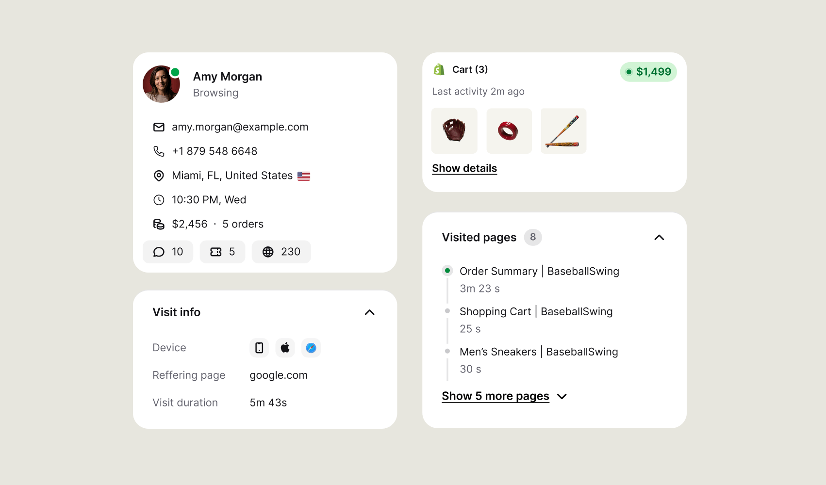 A customer profile in Text showing contact details, cart activity, visit information, and recently visited pages