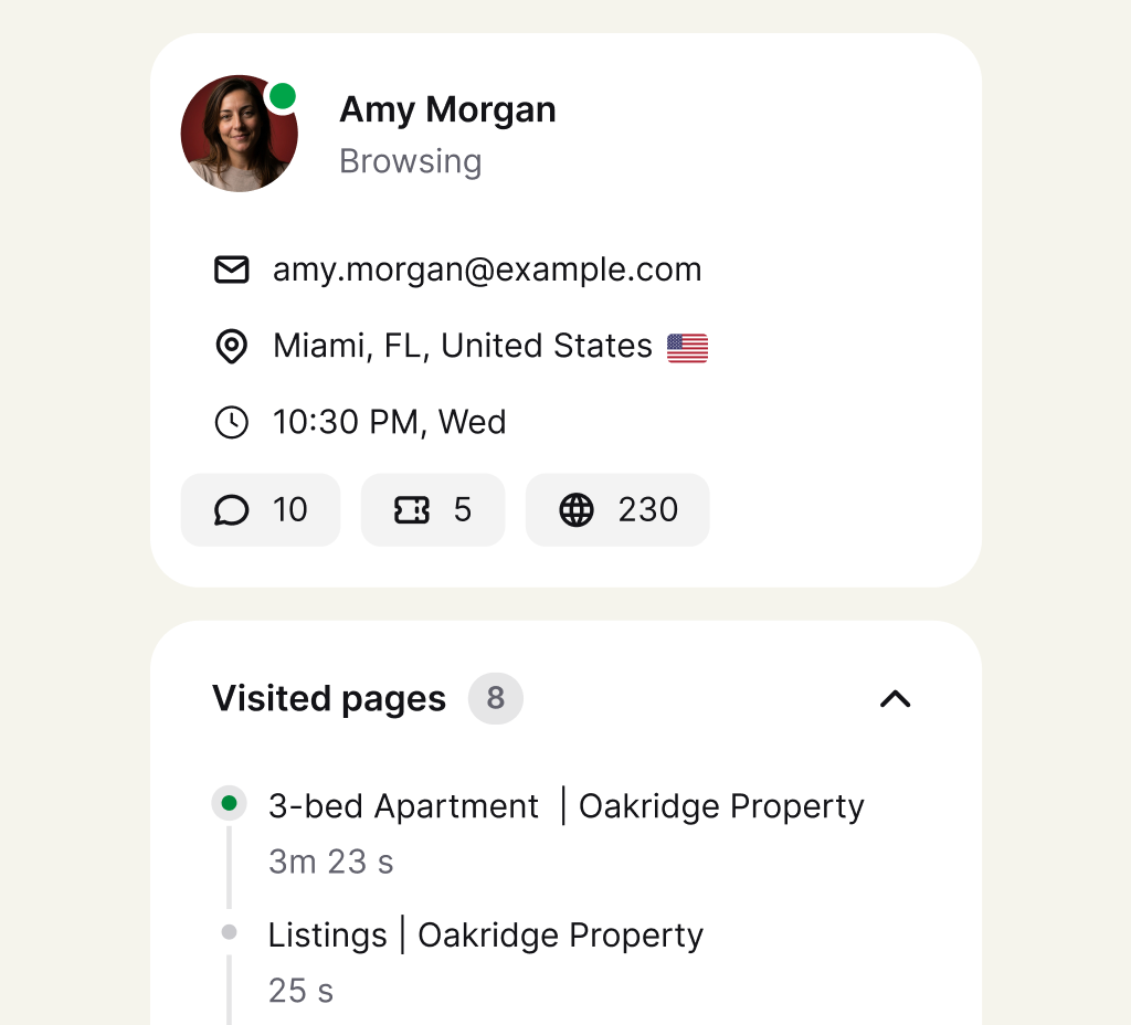 Visitor profile showing an active browser, location, local time, and recently viewed property pages