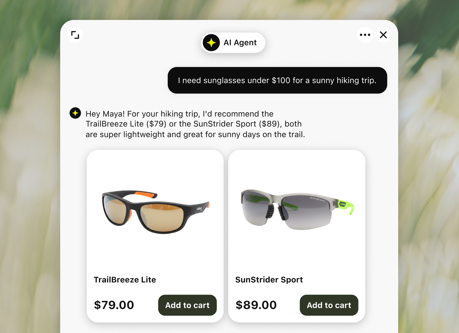 An AI agent recommends two pairs of hiking sunglasses within a customer's budget.
