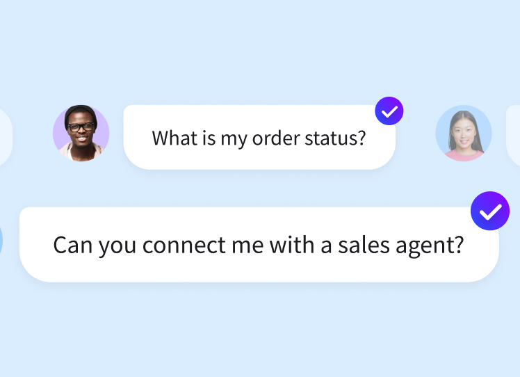 Order status questions in chat marked as resolved by the AI agent, with no human reply needed